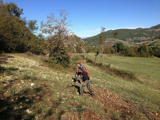 29602674023_5ffabc437f_z