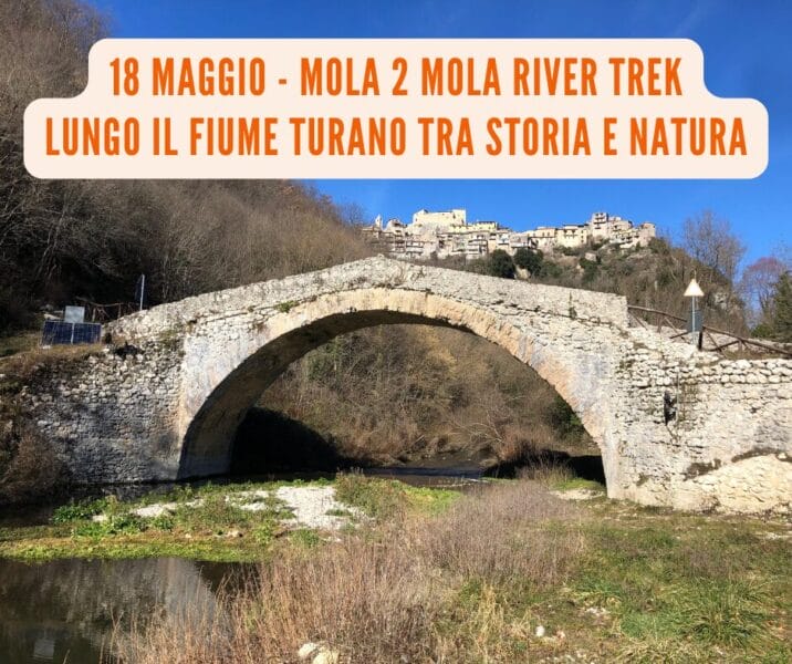 mola to mola
